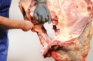 Neck and Chuck Eye bone in Meat Cut Spec Step 2